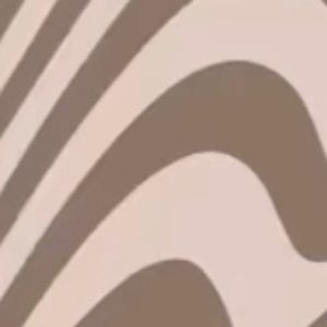 Meet your Posher, Aashi